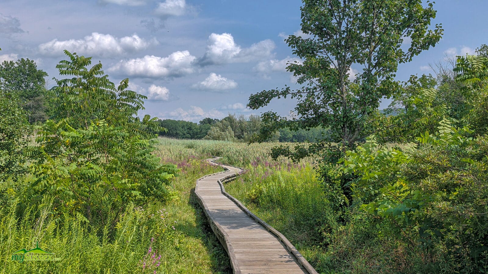 Pochuck Boardwalk — Vernon, NJ
