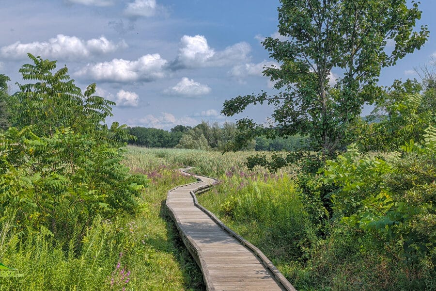Pochuck Boardwalk — Vernon, NJ