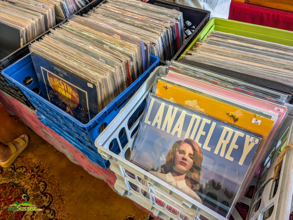 Vinyl records for sale in bins at The Vinyl Chapter in Newton NJ