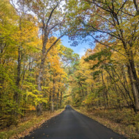 Fall foliage along the drive to Sunrise Mountain Overlook in Stokes State Forest.