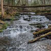 Cascading waterfalls along Stony Brook in Stokes State Forest.