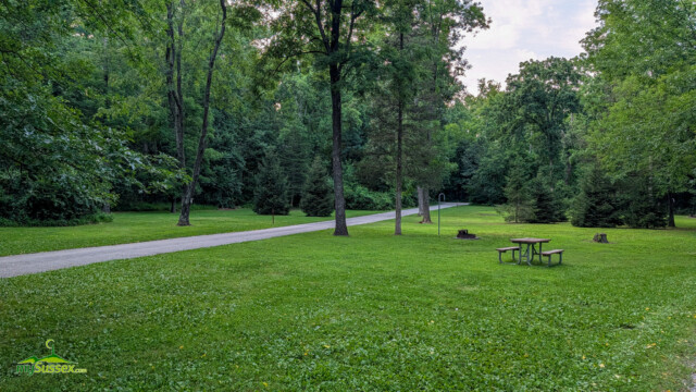 Several shaded, open campsites at Swartswood State Park.