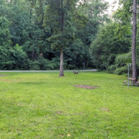 Several shaded, open campsites at Swartswood State Park.