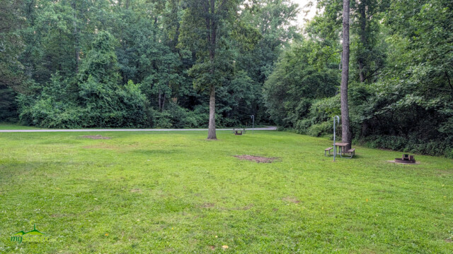 Several shaded, open campsites at Swartswood State Park.