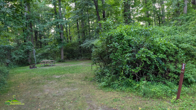 Wooded campsite surrounded by trees at Swartswood State Park.