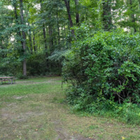 Wooded campsite surrounded by trees at Swartswood State Park.